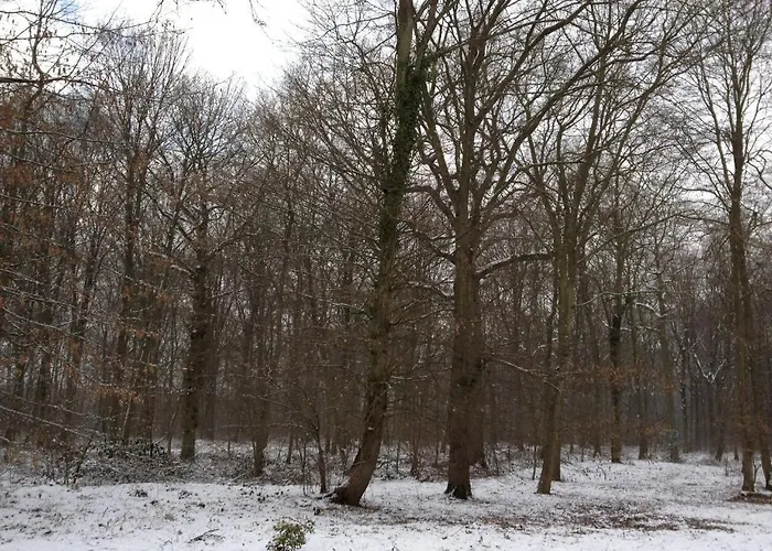 Le Magloire Haverskerque